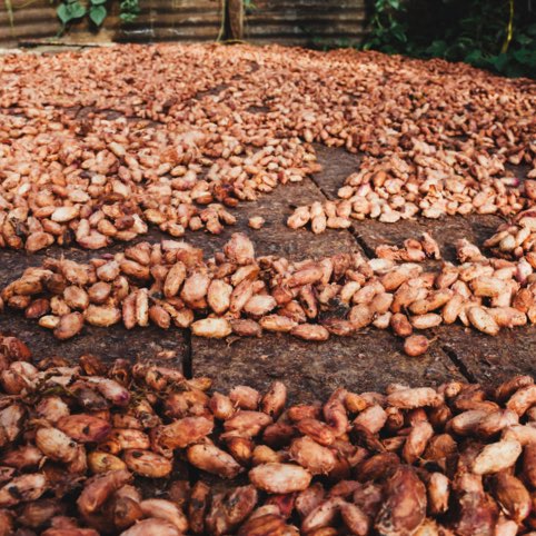 decouvrez-la-qualite-des-ingredients-elah-dufour-novi
