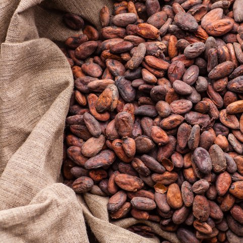 decouvrez-la-qualite-des-ingredients-elah-dufour-novi
