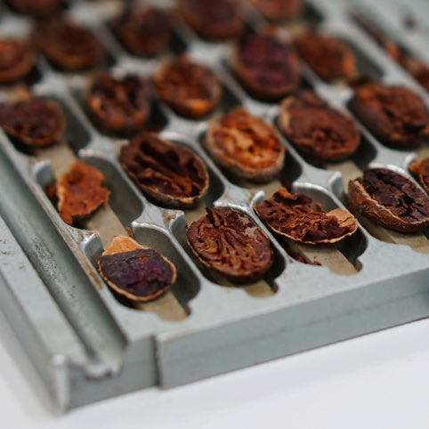 decouvrez-la-qualite-des-ingredients-elah-dufour-novi