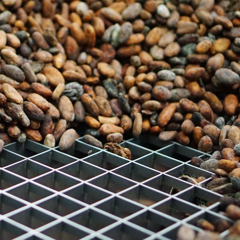 decouvrez-la-qualite-des-ingredients-elah-dufour-novi