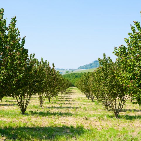 decouvrez-la-qualite-des-ingredients-elah-dufour-novi